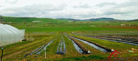 3 bedrooms House in Vittel, France No. 62527 13