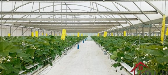 3 bedrooms House in Vittel, France No. 62527 10