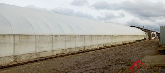 3 bedrooms House in Vittel, France No. 62527 15