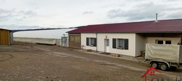 3 bedrooms House in Vittel, France No. 62527 6