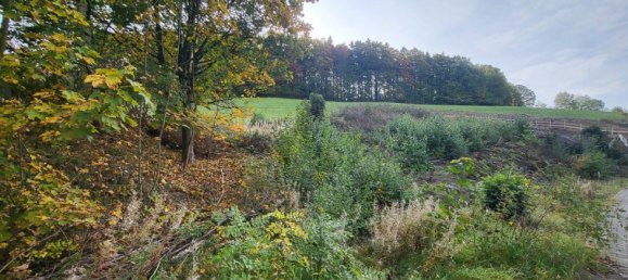 Terreno em Erzgebirgskreis, Germany 945 m² N.º 67658 3