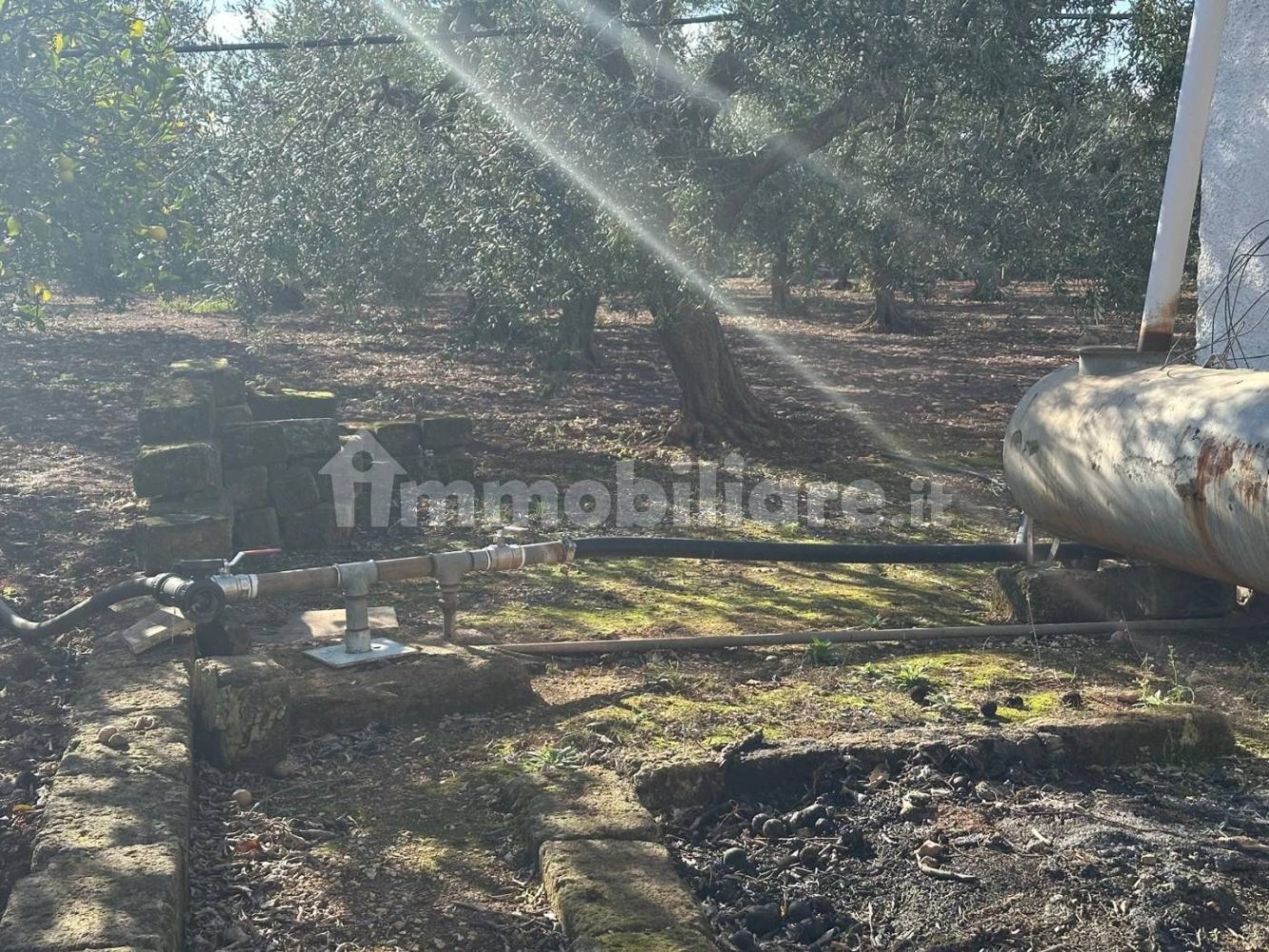 Grundstück in Modugno, Italy 8000m², Nr. 167399