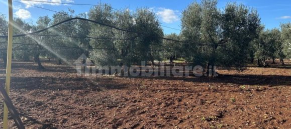 Grundstück in Modugno, Italy 8000m², Nr. 167399 2