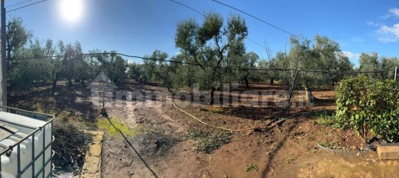 Grundstück in Modugno, Italy 8000m², Nr. 167399 11