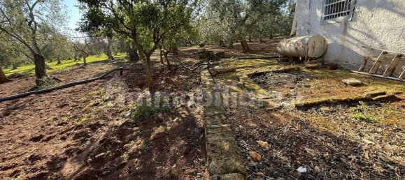 Grundstück in Modugno, Italy 8000m², Nr. 167399 3