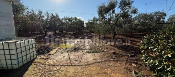 Grundstück in Modugno, Italy 8000m², Nr. 167399 5