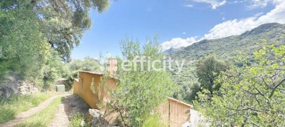 1 Schlafzimmer Haus in Muro, France, Nr. 303079 2