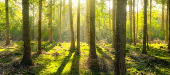 Terreno en Pfaffenhofen an der Ilm, Germany No. 162441 2