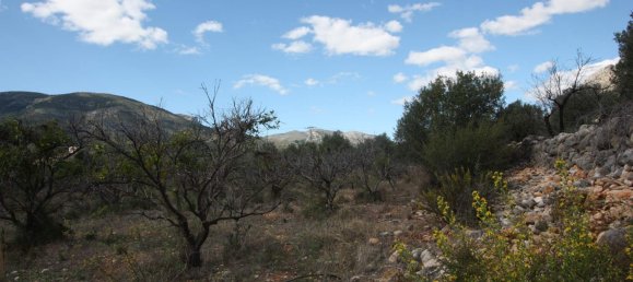  Land in Murla, Spain No. 8381 6