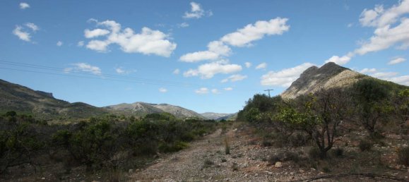  Land in Murla, Spain No. 8381 5