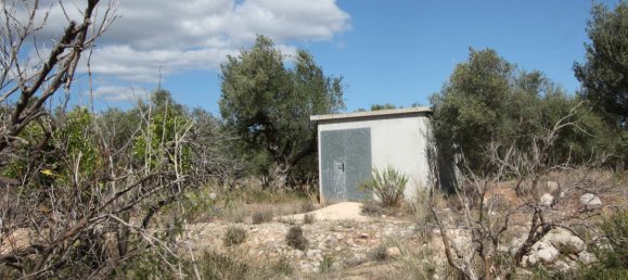  Land in Murla, Spain No. 8381 2