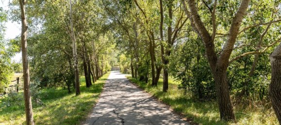 Terrain à Neusiedl am See, Austria No. 226421 13