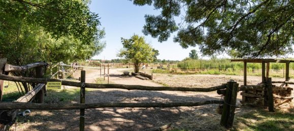 Terrain à Neusiedl am See, Austria No. 226421 12