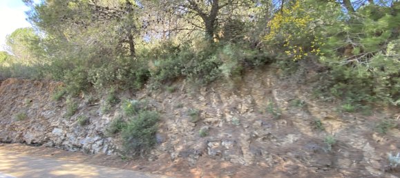 قطعة أرض في Alhaurin el Grande, Spain رقم 126109 28