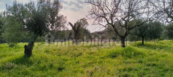 Villa de 1 dormitorio en Ardea, Italy No. 375851 19