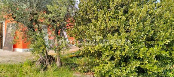 Villa de 1 dormitorio en Ardea, Italy No. 375851 16
