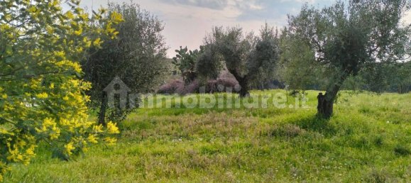 Villa de 1 dormitorio en Ardea, Italy No. 375851 18