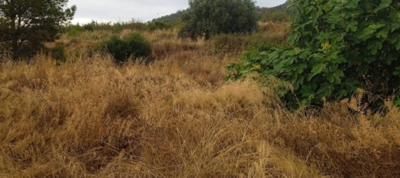 Terrain à Lorca, Spain 11800m² No. 138051 3