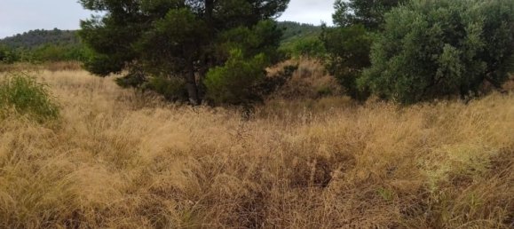 Terrain à Lorca, Spain 11800m² No. 138051 4