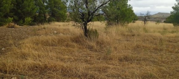 Terrain à Lorca, Spain 11800m² No. 138051 5