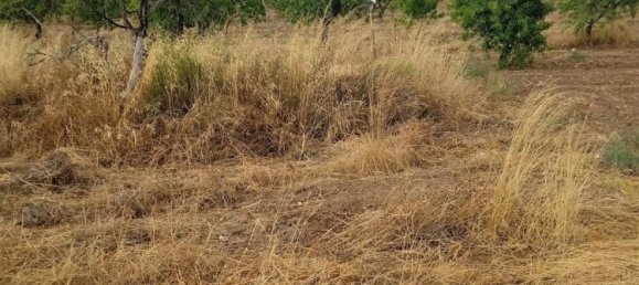 Terrain à Lorca, Spain 11800m² No. 138051 2