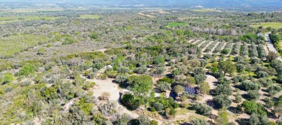 3 bedrooms House in Peralada, Spain No. 78402 14