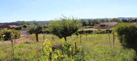 4 bedrooms House in Caldas da Rainha, Portugal No. 139414 25