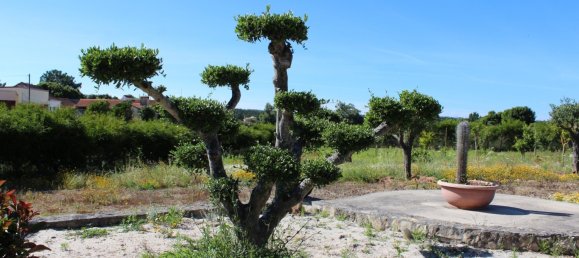 4 bedrooms House in Caldas da Rainha, Portugal No. 139414 2