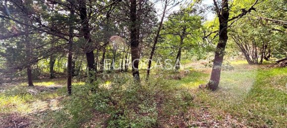 4 bedrooms House in Pietralunga, Italy No. 333508 8