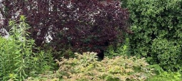  قطعة أرض في Vienna, Austria 1203متر مربع رقم 98167 3