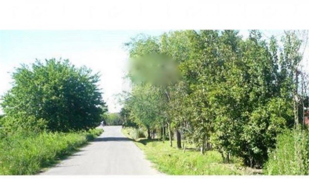 Grundstück in Campo Creado, Argentina 200m², Nr. 47972