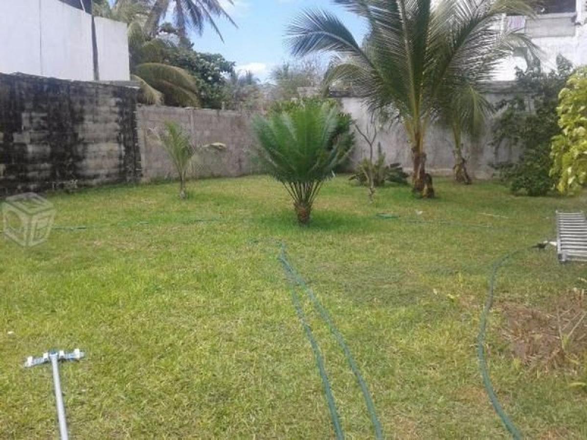 Дом с 3 спальнями в Герреро, Мексика № 188152