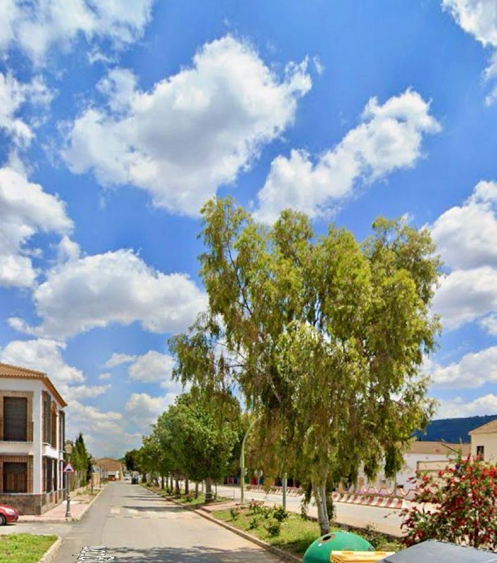  قطعة أرض في Malaga, Spain 282متر مربع رقم 226463