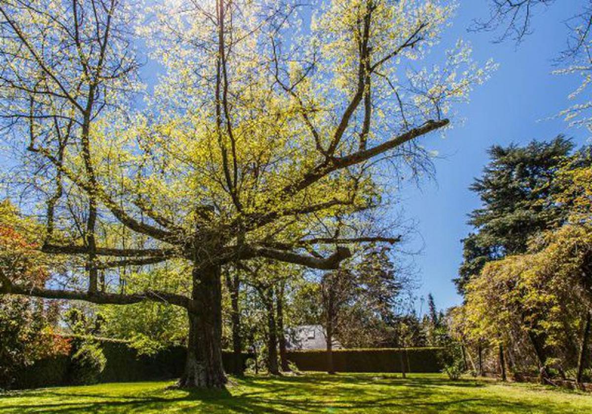  Land in Escobar, Argentina No. 40661