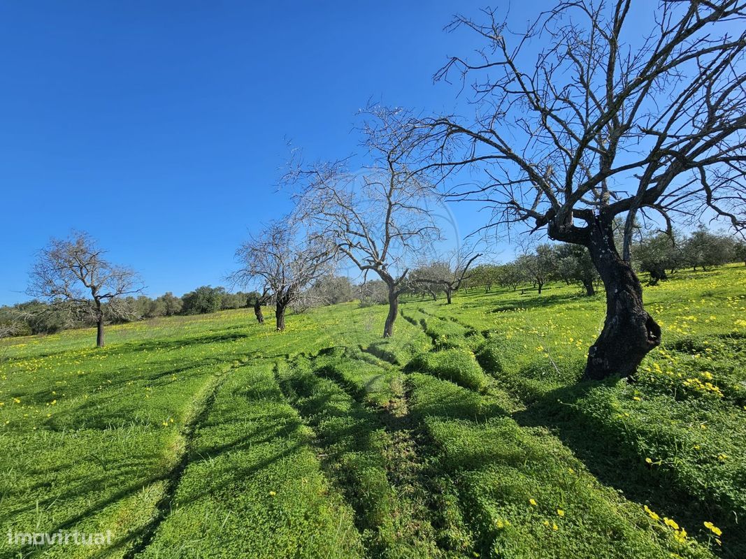 Terrain à Faro, Portugal 5640m² No. 74639