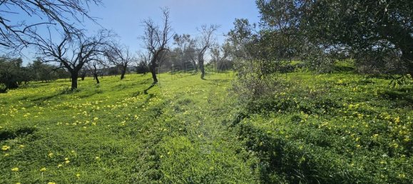 Terrain à Faro, Portugal 5640m² No. 74639 3