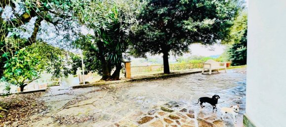 14غرفة فيلا في Velletri, Italy رقم 134851 10