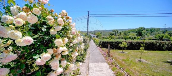4 bedrooms House in Lama de Arcos, Portugal No. 183108 43