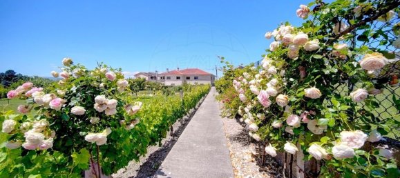 4 bedrooms House in Lama de Arcos, Portugal No. 183108 36