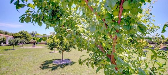 4 bedrooms House in Lama de Arcos, Portugal No. 183108 39