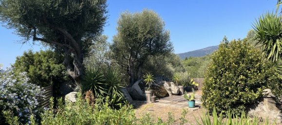 3 غرف نوم فيلا في Figari, France رقم 91937 19