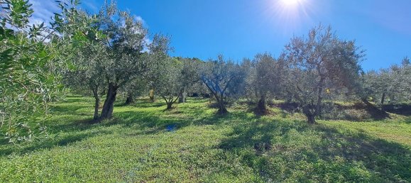 4000m² Land in Spoleto, Italy No. 113544 9