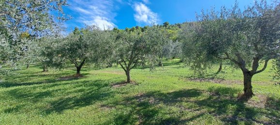 4000m² Land in Spoleto, Italy No. 113544 11