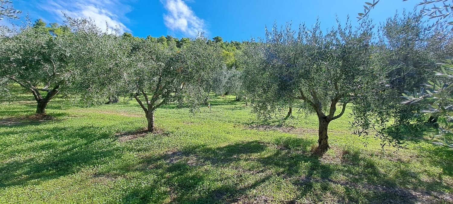 4000m² Land in Spoleto, Italy No. 113544