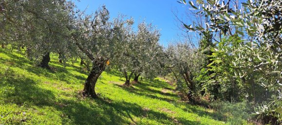 4000m² Land in Spoleto, Italy No. 113544 12