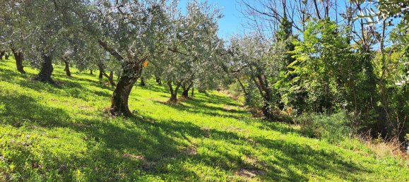 4000m² Land in Spoleto, Italy No. 113544 13