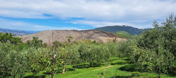 4000m² Land in Spoleto, Italy No. 113544 6