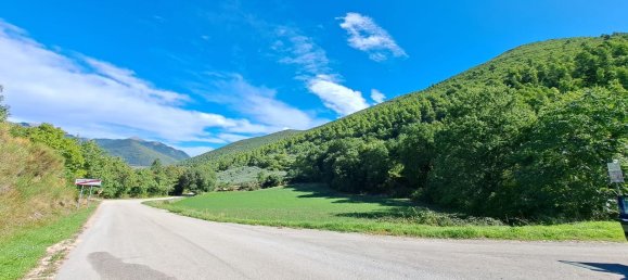 4000m² Land in Spoleto, Italy No. 113544 14