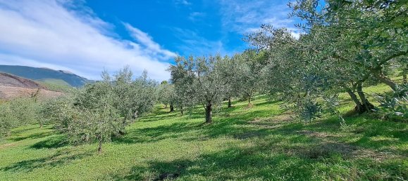 4000m² Land in Spoleto, Italy No. 113544 4