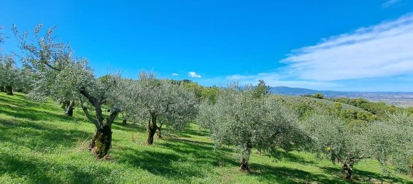 4000m² Land in Spoleto, Italy No. 113544 2